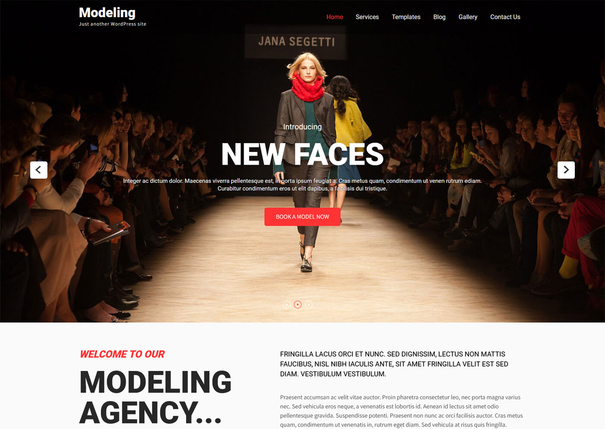 Free Fashion Model Lifestyle WordPress Themes